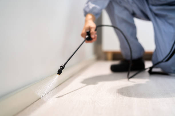 Licensed Pest Control service in Mercer Island, WA - Show Me Pest Control