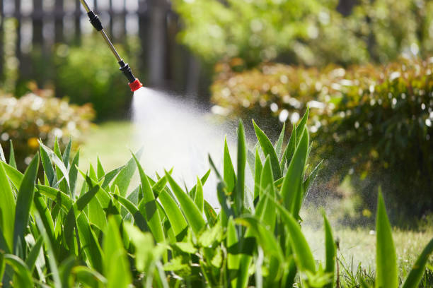 24/7 Emergency Wasp Removal experts in Mercer Island, WA