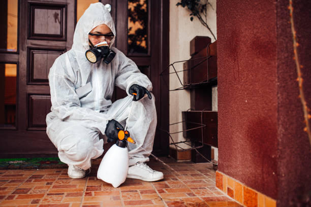Reliable Wasp Removal contractor in Mercer Island, WA by Show Me Pest Control